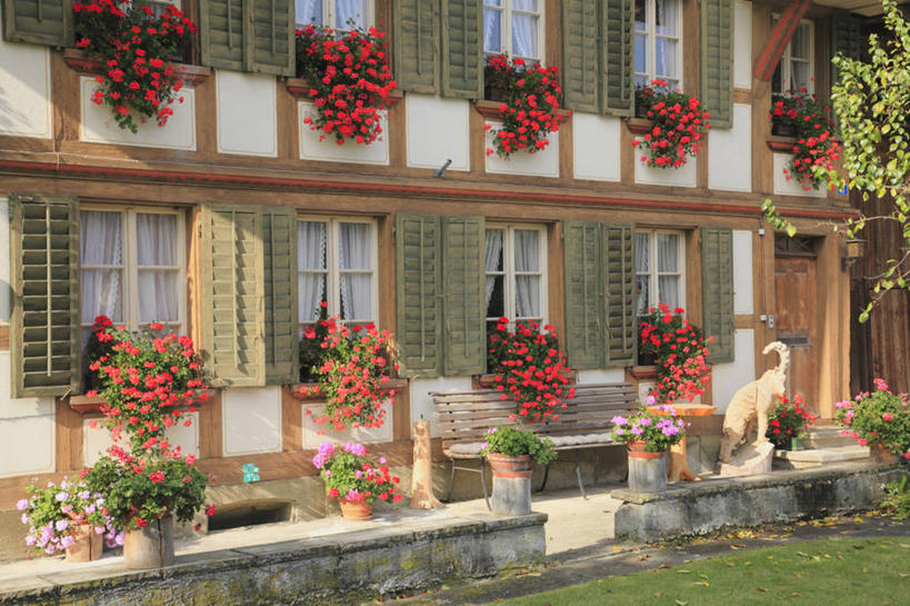 无人,家,横图,室外,白天,正面,旅游,度假,草地,草坪,美景,植物,窗户,城市风光,城市,建筑,瑞士,欧洲,阴影,盛开,光线,影子,房屋,墙,屋子,景观,公寓,花蕾,娱乐,建设,洋房,楼房,玻璃窗,墙壁,墙面,住宅,草,花,花瓣,花朵,鲜花,树,树木,红色,绿色,阳光,自然,花苞,花蕊,享受,休闲,景色,放松,生长,成长,中欧,首府,巴塞尔,瑞士联邦,巴塞尔城市州,彩图,房子