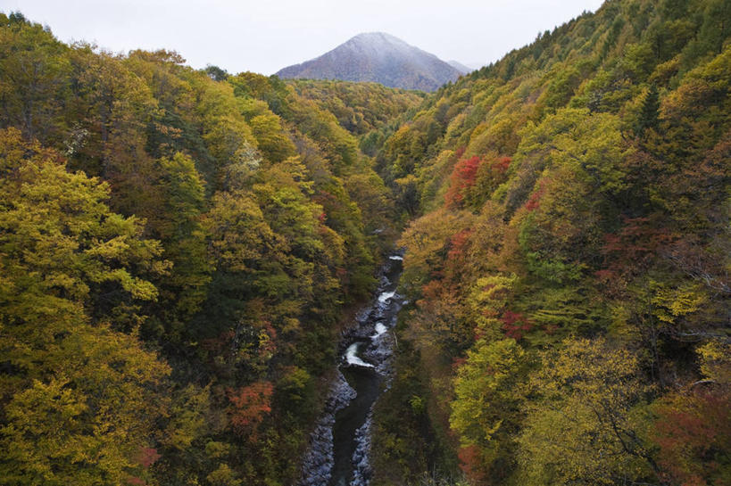 无人,横图,俯视,室外,白天,旅游,度假,河流,美景,秋季,森林,山,山脉,树林,水,植物,叶子,日本,亚洲,河水,景观,山峰,水流,枯叶,落叶,山峦,娱乐,树,树木,绿色,天空,自然,群山,天,享受,休闲,景色,放松,生长,成长,自然风光,东亚,本州,本州岛,日本国,中部地方,岐阜,岐阜县,叶,叶片,秋,秋天,彩图,高角度拍摄,中津川市