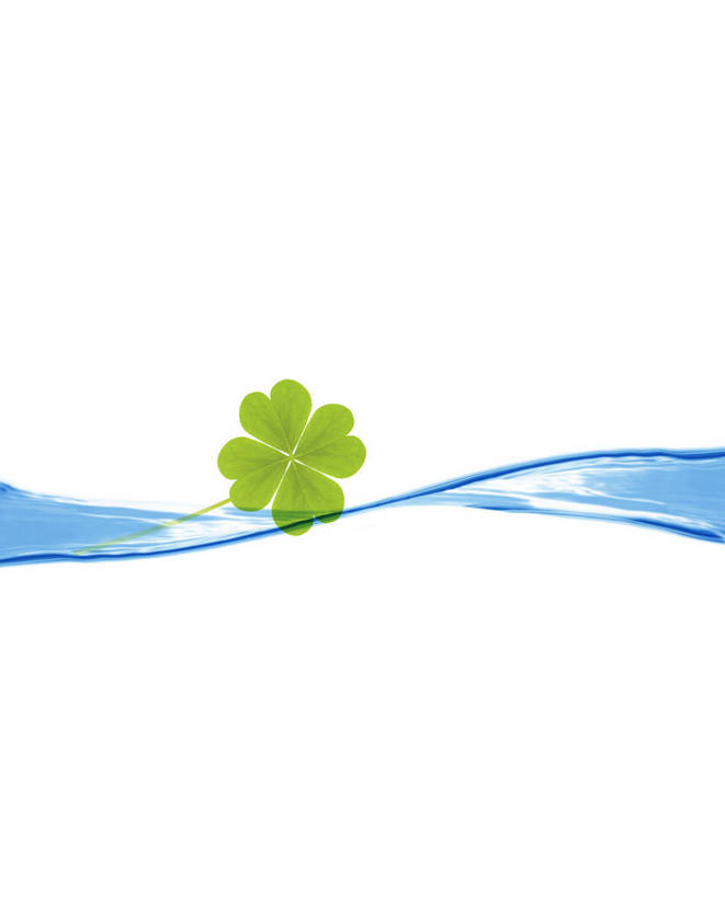 无人,竖图,室内,白天,白色背景,正面,自由,数码,科技,水,一片,阴影,飘扬,网络,液体,水滴,四叶草,高光,几何,计算机图形,合成,幸运草,电脑合成图,数码合成图,合成图,和平,写实,具体,具象,牛角花,统一,浮荡,飘拂,漂荡,飘零,团结,幸运,彩图,飘荡