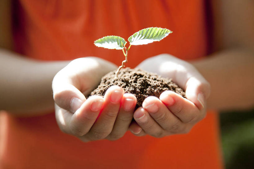 东方人,儿童,手,一个人,站,捧,横图,室外,特写,白天,正面,纯洁,植物,叶子,亚洲,双手,仅一个女性,仅一个人,一堆,许多,阴影,堆叠,堆积,服装,朦胧,模糊,过程,光线,纹理,影子,泥土,土壤,绿叶,很多,休闲装,黄种人,小孩,衣服,红色,绿色,阳光,站着,仅一个小孩,休闲,手部,休闲服,嫩叶,可爱,童年,童趣,服饰,成长,堆,童真,烂漫,无邪,发展,山毛榉,肌理,麻栎金刚,山毛榉树,历程,天真,女孩,女人,女性,亚洲人,孩子,叶,叶片,叶脉,端,端着,捧着,手捧,站立,半身,彩图,女生