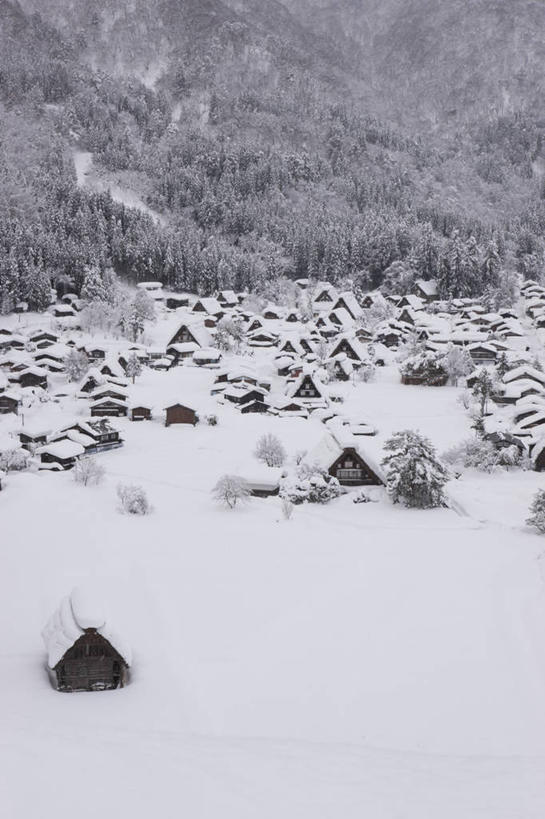 无人,家,木屋,竖图,黑白,室外,白天,正面,旅游,度假,美景,山,山脉,树林,雪,植物,大雪,日本,亚洲,积雪,景观,山峰,雪景,冬季,冬天,山峦,娱乐,住宅,树,树木,绿色,自然,群山,享受,休闲,景色,放松,寒冷,生长,成长,自然风光,东亚,本州,本州岛,日本国,中部地方,岐阜,岐阜县,严寒,茅舍,茅屋,棚屋,小木屋,小屋,大野郡,白川村