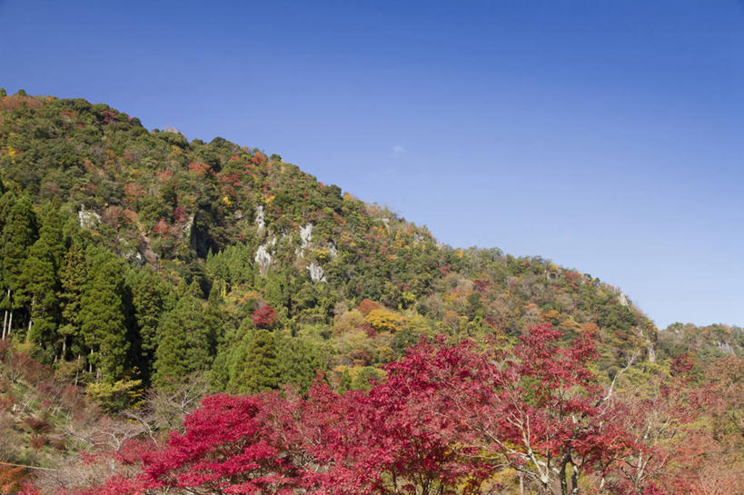 无人,横图,室外,白天,仰视,旅游,度假,美景,秋季,森林,山,山脉,树林,植物,大分县,日本,亚洲,阴影,光线,影子,景观,山峰,山峦,娱乐,树,树木,蓝色,绿色,蓝天,天空,阳光,自然,群山,天,享受,休闲,景色,放松,生长,晴朗,成长,自然风光,东亚,万里无云,日本国,九州本岛,九州,九州岛,九州地方,中津市,耶马溪,大分,晴空,晴空万里,秋,秋天,彩图,低角度拍摄