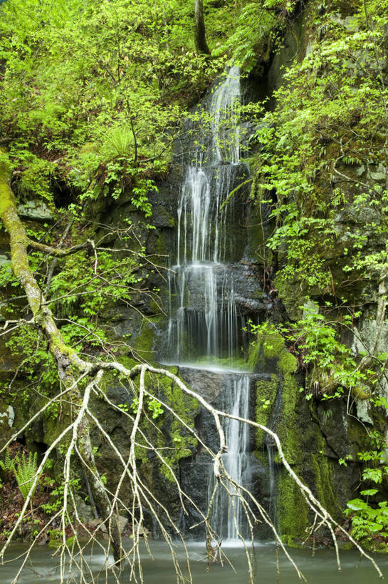 无人,竖图,室外,白天,正面,旅游,度假,河流,石头,美景,瀑布,树林,水,峡谷,植物,日本,亚洲,阴影,飞溅,溅,光线,石子,液体,影子,河水,景观,水滴,水流,山谷,娱乐,水珠,树,树木,绿色,小溪,阳光,自然,溪水,享受,休闲,景色,放松,生长,成长,岩层,喷洒,自然风光,东亚,本州,本州岛,日本国,青森,青森县,东北地方,奥入濑町,奥入濑溪流,跌水,石块,岩石,彩图,上北郡