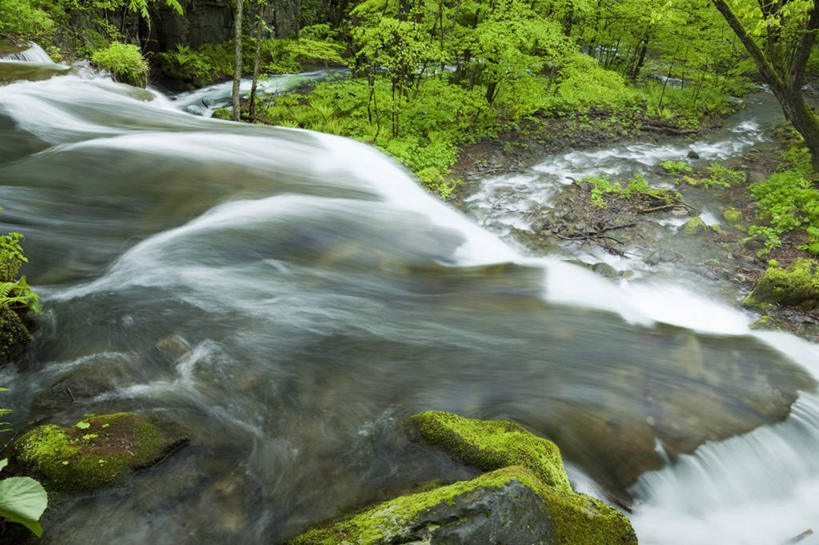 无人,横图,俯视,室外,白天,旅游,度假,河流,石头,美景,树林,水,植物,日本,亚洲,飞溅,溅,石子,液体,河水,景观,水滴,水流,娱乐,水珠,树,树木,绿色,小溪,自然,溪水,享受,休闲,景色,放松,生长,成长,喷洒,自然风光,东亚,本州,本州岛,日本国,青森,青森县,东北地方,奥入濑町,奥入濑溪流,石块,岩石,彩图,高角度拍摄,上北郡