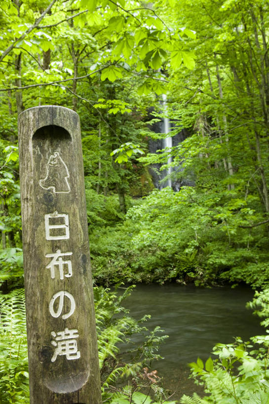 无人,竖图,室外,白天,正面,旅游,度假,石头,美景,瀑布,树林,水,峡谷,植物,木雕,雕塑,日本,亚洲,阴影,飞溅,艺术,装饰,溅,光线,日文,标志,雕刻,雕像,石子,文字,液体,影子,字符,景观,水滴,山谷,娱乐,标识,水珠,树,树木,绿色,阳光,自然,工艺品,享受,休闲,景色,放松,生长,成长,纪念,美术,岩层,喷洒,自然风光,主题,陈列,东亚,本州,本州岛,日本国,青森,青森县,东北地方,功能,美学,日语,十和田市,十和田,跌水,石块,岩石,彩图