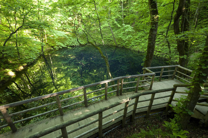 无人,公园,横图,俯视,室外,白天,旅游,度假,湖,湖泊,美景,森林,树林,水,植物,日本,亚洲,阴影,光线,木板,影子,湖面,景观,水流,水面,桥,木桥,娱乐,栈桥,树,树木,绿色,倒影,阳光,自然,湖水,享受,休闲,景色,放松,生长,成长,人行桥,木板桥,倒映,自然风光,东亚,本州,本州岛,日本国,青森,青森县,东北地方,反照,彩图,高角度拍摄,国定公园,津轻国定公园,准国家公园