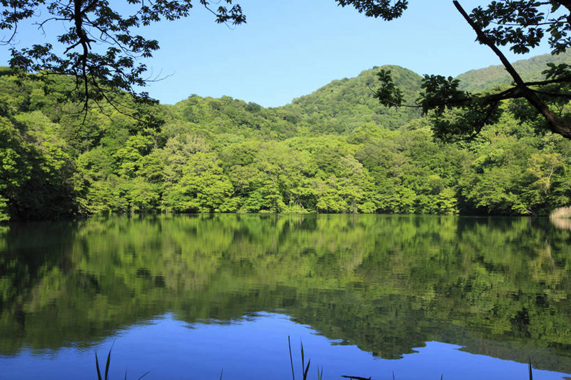 无人,公园,横图,室外,白天,正面,旅游,度假,湖,湖泊,美景,树林,水,植物,日本,亚洲,阴影,光线,影子,湖面,景观,水流,水面,娱乐,树,树木,蓝色,绿色,蓝天,天空,阳光,自然,湖水,天,享受,休闲,景色,放松,生长,晴朗,成长,自然风光,东亚,本州,万里无云,本州岛,日本国,青森,青森县,东北地方,晴空,晴空万里,彩图,国定公园,津轻国定公园,准国家公园