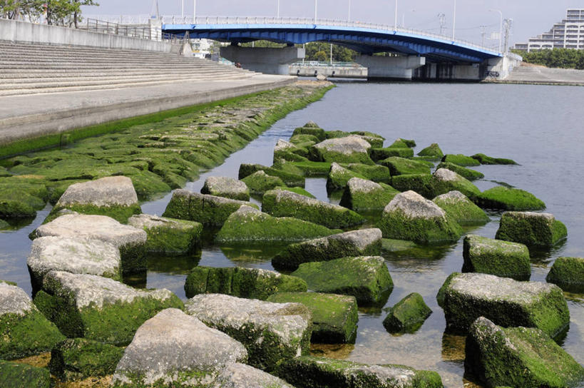 无人,码头,横图,室外,白天,正面,旅游,度假,海浪,海洋,石头,美景,港口,日本,亚洲,一堆,许多,阴影,堆叠,堆积,光线,石子,影子,景观,浪花,青苔,苔藓,娱乐,蓝色,蓝天,天空,阳光,自然,海水,天,享受,休闲,景色,放松,晴朗,堆,自然风光,海景,东亚,本州,万里无云,本州岛,日本国,近畿地方,近畿,兵库,兵库县,大海,风浪,海,海水的波动,近岸浪,石块,岩石,涌浪,晴空,晴空万里,彩图,摆渡口,埠头,渡口,渡头,港湾,海港,货运码头,口岸,商港,西宫市