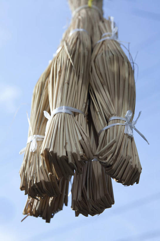 无人,竖图,室外,特写,白天,仰视,大豆,许多,吊挂,悬挂,阴影,光线,影子,挂,饮食,蓝色,蓝天,天空,阳光,天,健康,晴朗,纳豆,豆制品,发酵,万里无云,酱豆,晴空,晴空万里,彩图,低角度拍摄