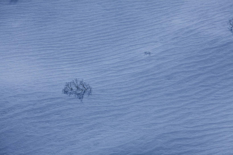 无人,横图,俯视,室外,白天,旅游,度假,美景,雪,大雪,日本,亚洲,阴影,光线,纹路,纹理,影子,积雪,景观,雪景,冬季,冬天,娱乐,阳光,自然,享受,休闲,景色,放松,寒冷,自然风光,东亚,本州,肌理,本州岛,日本国,近畿地方,近畿,严寒,和歌山,和歌山县,彩图,高角度拍摄,白滨町,西牟娄郡,千叠敷