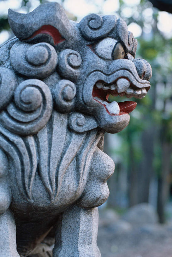 无人,竖图,室外,特写,白天,正面,石头,森林,树林,植物,狮子,雕塑,一座,节日,朦胧,模糊,日本文化,艺术,装饰,雕刻,雕像,石子,文化,树,树木,绿色,自然,工艺品,石狮,祈祷,健康,许愿,宗教,信仰,生长,成长,纪念,祈求,美术,主题,陈列,功能,美学,平安,石块,岩石,彩图