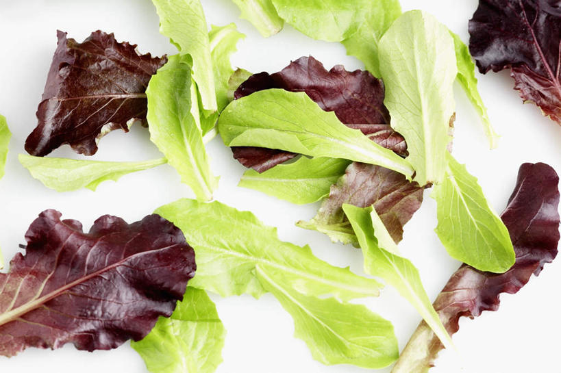 无人,横图,俯视,室内,特写,白天,白色背景,桌面,蔬菜,许多,新鲜,生菜,莴苣,食品,蔬果,食物,绿色,摄影,堆放,有机食品,绿色食品,影棚,春菜,鹅仔菜,莴仔菜,千金菜,叶用莴苣,彩图,高角度拍摄,影棚拍摄,拍摄