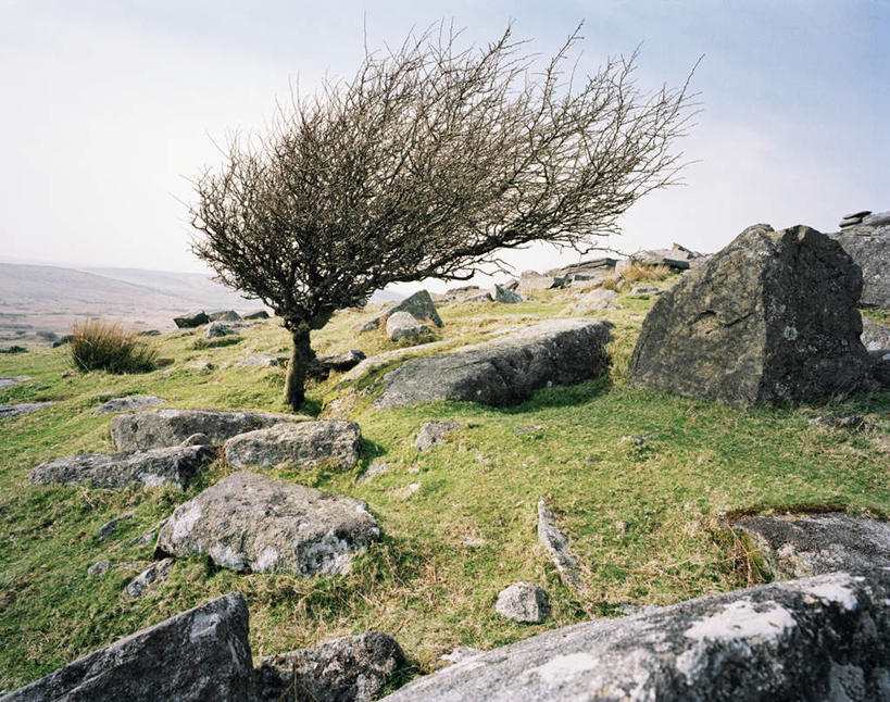 无人,横图,室外,白天,正面,旅游,度假,草地,草坪,石头,美景,山,山脉,植物,英国,欧洲,石子,景观,山峰,山峦,娱乐,草,树,树木,蓝色,绿色,蓝天,天空,自然,群山,天,享受,休闲,景色,放松,生长,成长,西欧,自然风光,大不列颠,大不列颠及北爱尔兰联合王国,大不列颠联合王国,日不落英帝国,康沃尔,康沃尔郡,石块,岩石,彩图