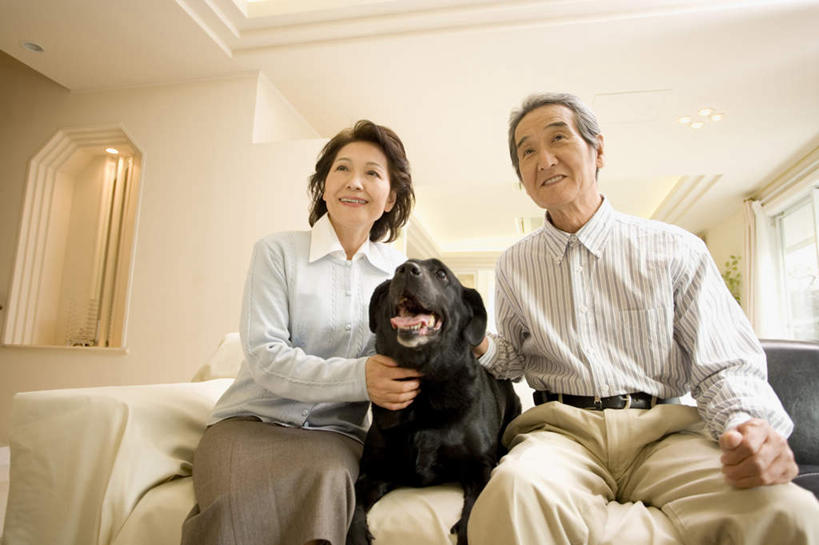 东方人,两个人,夫妻,客厅,坐,笑,摸,微笑,露齿笑,横图,室内,白天,仰视,毛衣,衬衫,爱情,植物,窗户,落地窗,沙发,宠物,狗,亚洲,抚摸,墙,浪漫,注视,黄种人,玻璃窗,墙壁,墙面,一只,绿色,自然,动物,观察,看,恩爱,可爱,恋人,观看,察看,起居室,搀扶,关注,布艺沙发,忠诚,老年男性,老年女性,男人,男性,女人,女性,亚洲人,情侣,犬,触摸,接触,坐着,半身,彩图,低角度拍摄,衬衣,绒衣,套衫,套头毛衣,线衣,伴侣