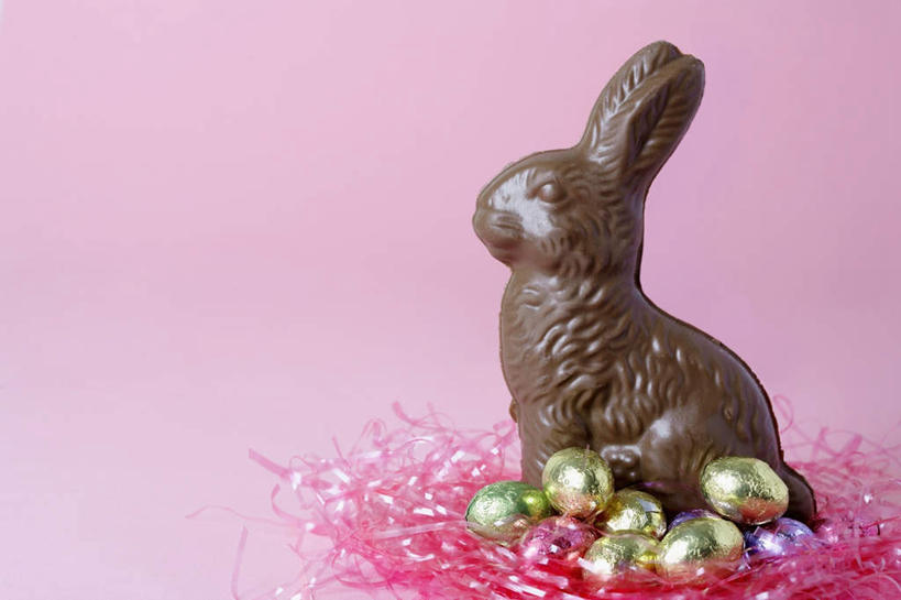 无人,坐,横图,室内,特写,白天,侧面,桌面,桌子,野生动物,静物,雕塑,复活节,粉色背景,节日,庆祝,艺术,装饰,木制,兔子,雕刻,雕像,食品,糖,糖果,甜点,甜品,褐色,文化,食物,一个,动物,木制品,工艺品,甜食,巧克力,庆典,可爱,摄影,活泼,影棚,单个,纪念,朱古力,美术,主题,陈列,复活节兔子,功能,美学,坐着,彩图,全身,影棚拍摄,拍摄