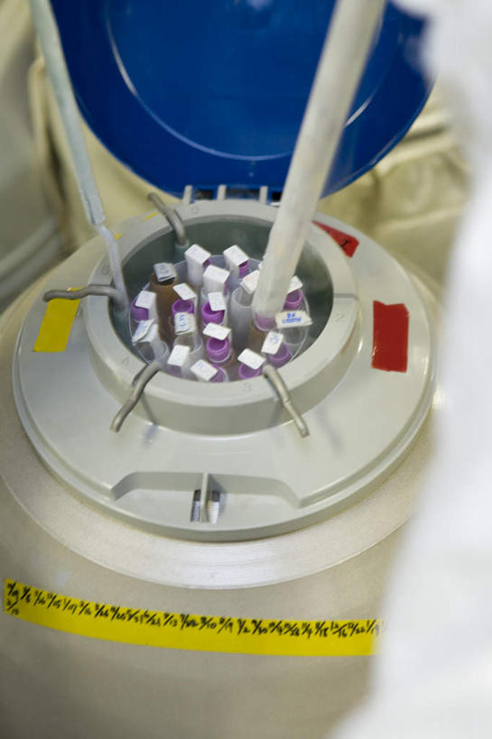 东方人,一个人,科学家,站,竖图,俯视,室内,白天,工作服,制服,实验,仪器,杯子,亚洲,仅一个年轻女性,仅一个女性,仅一个人,一排,许多,研究,整齐,透明,分析,化学,测试,试管,实验室,研究室,注视,黄种人,玻璃制品,排列,玻璃瓶,瓶子,观察,看,站着,器皿,观看,气体,察看,队列,关注,计量,研究所,科学研究者,玻璃仪器,试验耗材,实验用品,化验室,检验室,工作制服,年轻女性,女人,女性,亚洲人,科学工作者,玻璃杯,站立,半身,彩图,高角度拍摄,工作套服,氮气,液态