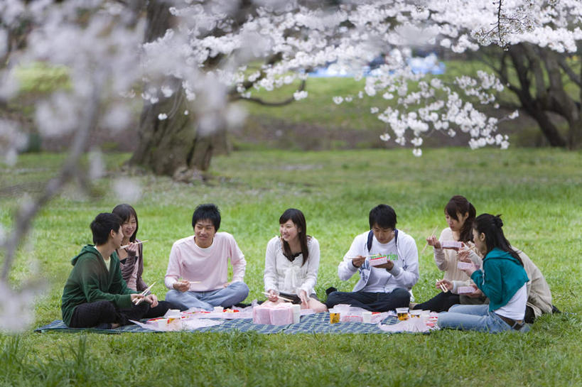 东方人,伙伴,朋友,跪,笑,说,吃,盘腿,微笑,露齿笑,横图,室外,白天,正面,旅游,度假,友谊,幸福,纯洁,草地,草坪,美景,树林,植物,筷子,樱花,杯子,餐具,日本,亚洲,一排,许多,握,服装,朦胧,模糊,整齐,盛开,饭盒,景观,餐盒,许多人,拿,花蕾,拿着,注视,休闲装,黄种人,文化,娱乐,传统,桌布,草,花,花瓣,花朵,鲜花,树,树木,排列,衣服,粉色,绿色,白色,自然,纸制品,花苞,花蕊,观察,看,一群人,享受,休闲,休闲服,景色,放松,握着,服饰,生长,成长,观看,等待,纸杯,礼节,察看,生命,队列,关注,一次性杯子,自然风光,礼仪,东亚,日本国,仙樱花,福岛樱,青肤樱,高尚,热烈,交流,友情,男人,男性,年轻男性,年轻女性,女人,女性,亚洲人,进餐用具,烹调用具,荆桃,沟通,跪着,讲话,交谈,嚼,盘腿而坐,盘膝,盘着腿的,盘着腿坐,食,双腿交叉,说话,谈话,彩图,全身