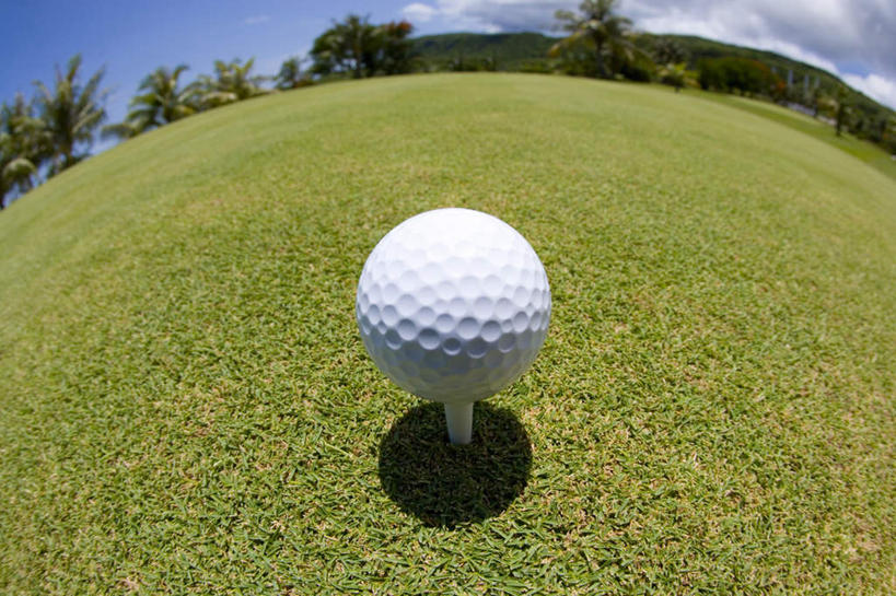 无人,横图,俯视,室外,特写,白天,广角镜头,鱼眼镜头,草地,草坪,树林,植物,阴影,光线,高尔夫,高尔夫球,影子,球场,高尔夫球场,球,草,树,树木,一个,蓝色,绿色,白色,蓝天,天空,阳光,自然,天,球体,生长,单个,成长,高尔夫球杆,绿茵场,高尔夫运动,高尔夫球具,彩图,高角度拍摄