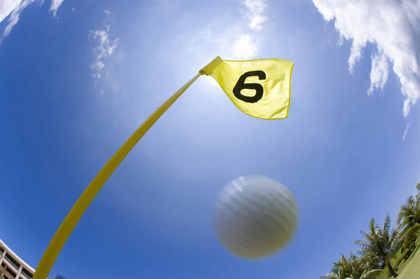 无人,横图,室外,特写,白天,广角镜头,鱼眼镜头,仰视,草地,草坪,树林,植物,指示牌,阴影,光线,高尔夫,高尔夫球,标志,数字,文字,影子,球场,标识,高尔夫球场,草,树,树木,一个,黄色,蓝色,绿色,白色,蓝天,天空,阳光,自然,天,生长,单个,成长,高尔夫球杆,绿茵场,高尔夫运动,高尔夫球具,彩图,低角度拍摄