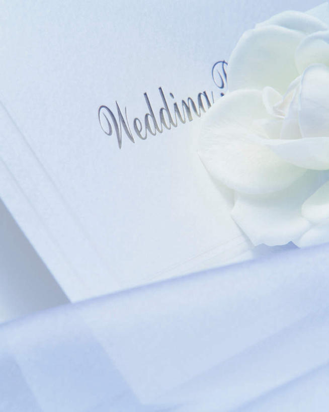 无人,竖图,室内,特写,白天,正面,爱情,婚礼,快乐,幸福,纯洁,热情,玫瑰,阴影,朦胧,模糊,庆祝,装饰,光线,标志,文字,信封,影子,字符,字母,玫瑰花,结婚,浪漫,标识,阳光,温暖,温馨,喜庆,恩爱,纪念,华丽,修饰,点缀,和睦,邀请,请帖,感动,衬托,美观,雅致,雅观,尊敬,天真,刺玫花,徘徊花,彩图,高兴,融洽,请柬