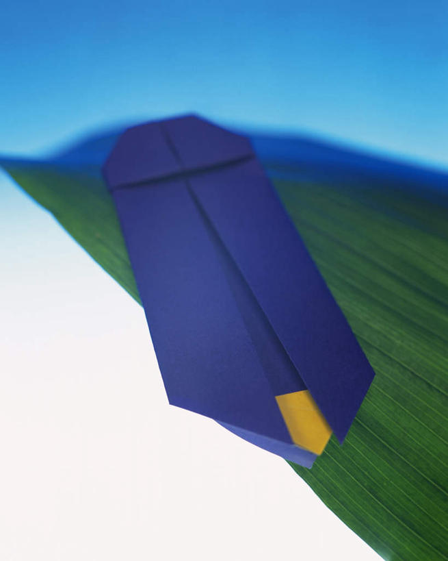 无人,竖图,室内,特写,白天,正面,静物,叶子,艺术,折纸,纸艺,手工艺品,绿叶,文化,两个,蓝色,工艺品,嫩叶,摄影,影棚,高雅,萤火虫,工艺折纸,自信心,品位,叶,叶片,彩图,影棚拍摄,拍摄