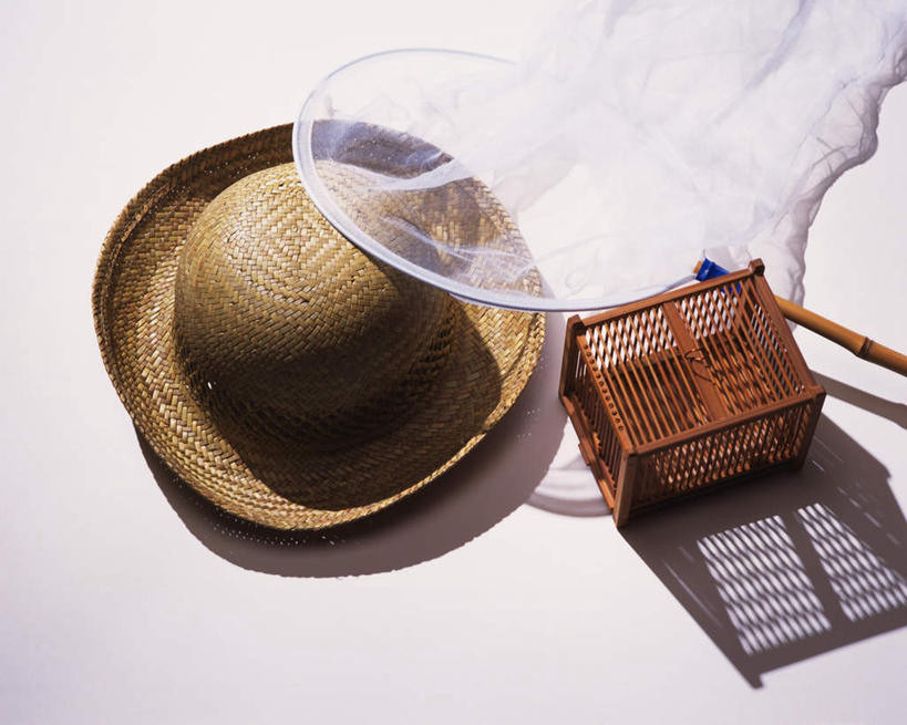 无人,横图,俯视,室内,白天,白色背景,桌子,帽子,草帽,捕虫网,笼子,一个,摄影,影棚,单个,扫网,水网,一顶,扑网,彩图,高角度拍摄,影棚拍摄,拍摄