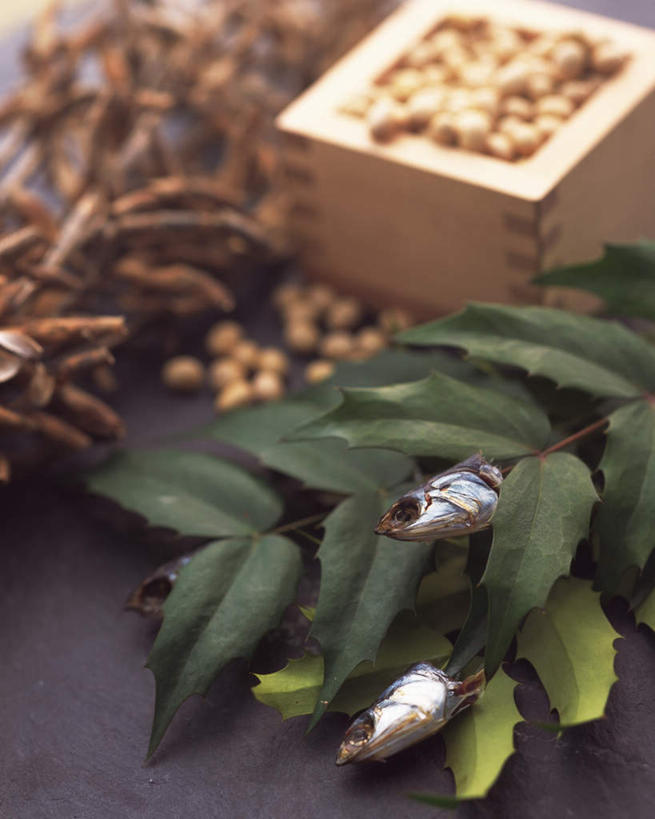 海鲜,无人,竖图,俯视,室内,特写,白天,大豆,静物,一堆,许多,堆叠,堆积,辟邪,日本文化,鱼,木盒,文化,水产,鱼类,盒子,一个,祈祷,健康,许愿,三条,单个,堆,祈求,海产品,胡瓜鱼,多春鱼,毛鳞鱼,驱邪,祛邪,避邪,柳叶鱼,池沼公鱼,桦太柳叶鱼,平安,黄豆,彩图,高角度拍摄,传统文化