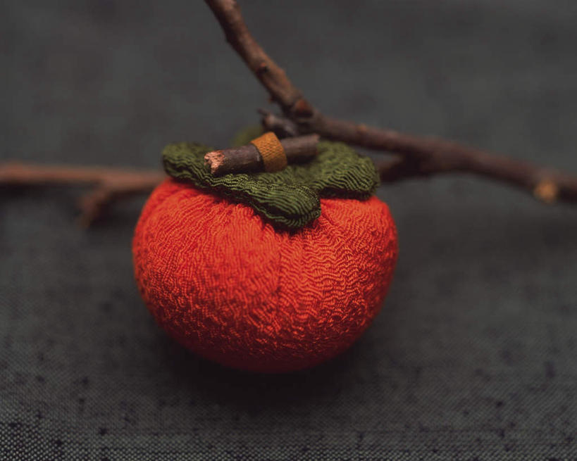 无人,横图,俯视,室内,特写,白天,西红柿,静物,灰色背景,朦胧,模糊,艺术,手工艺品,文化,树枝,工艺品,摄影,影棚,高雅,自信心,品位,番茄,彩图,高角度拍摄,影棚拍摄,拍摄