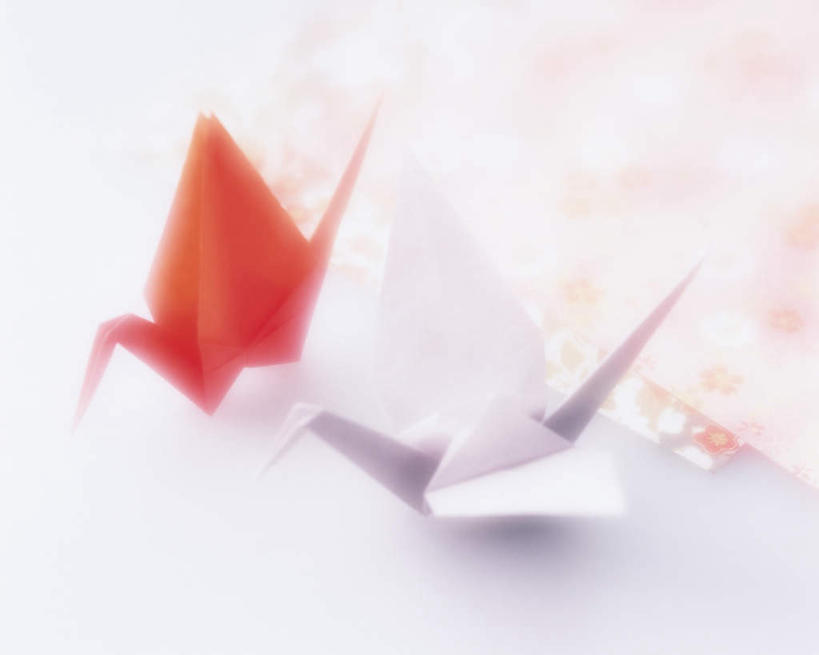 无人,横图,俯视,室内,特写,白天,白色背景,桌子,静物,艺术,折纸,纸艺,手工艺品,千纸鹤,文化,书桌,两个,红色,白色,课桌,纸鹤,工艺品,摄影,影棚,高雅,工艺折纸,自信心,品位,彩图,高角度拍摄,影棚拍摄,拍摄