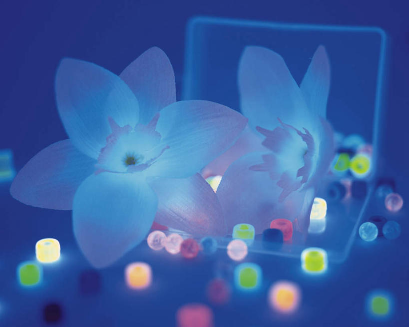 无人,横图,俯视,室内,特写,白天,数码,科技,许多,阴影,蓝色背景,散落,盛开,网络,食品,糖,糖果,甜点,甜品,软糖,高光,几何,计算机图形,合成,花蕾,盒子,花,花瓣,花朵,鲜花,食物,两朵,一个,粉色,容器,甜食,花苞,花蕊,单个,电脑合成图,数码合成图,塑料盒,写实,具体,具象,彩图,高角度拍摄