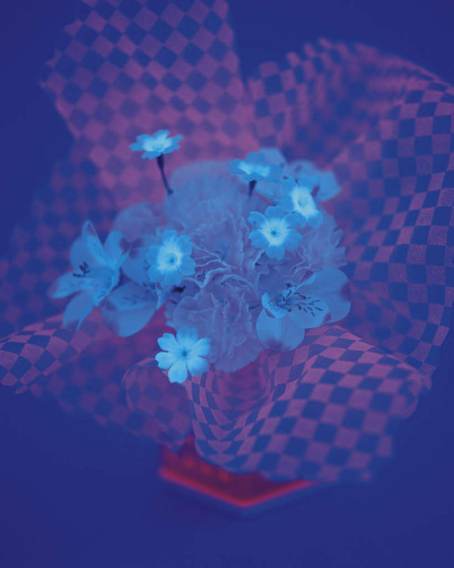 无人,竖图,俯视,室内,特写,白天,数码,科技,静物,许多,阴影,蓝色背景,朦胧,模糊,盛开,网络,高光,几何,计算机图形,合成,花蕾,花,花瓣,花朵,鲜花,白色,花苞,花蕊,一束,电脑合成图,数码合成图,写实,具体,具象,彩图,高角度拍摄