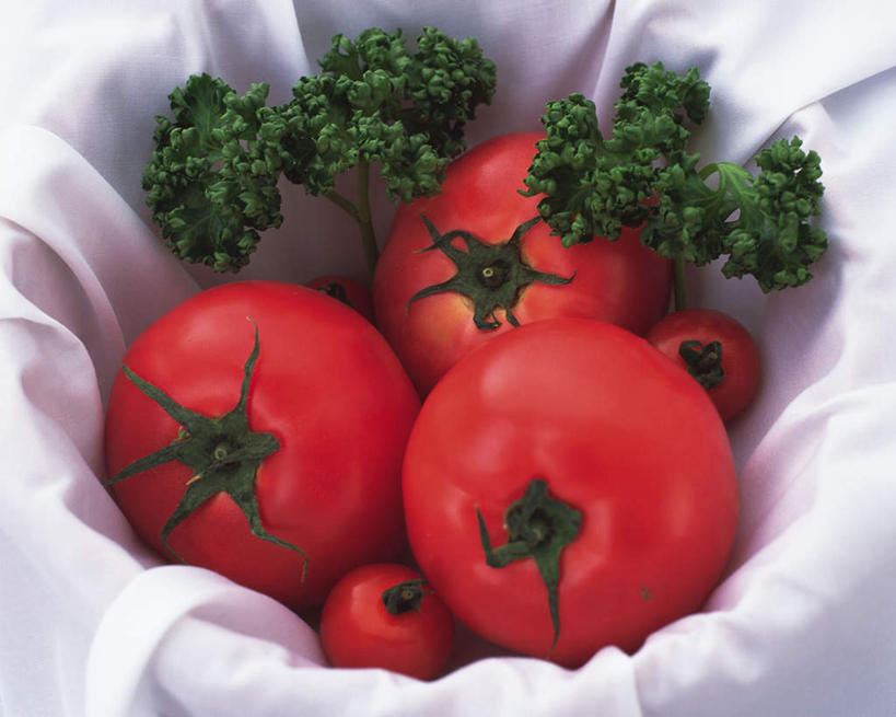 无人,横图,俯视,室内,特写,白天,蔬菜,西红柿,许多,新鲜,篮子,花菜,花椰菜,西兰花,食品,食物,摄影,有机食品,绿色食品,影棚,樱桃番茄,圣女果,番茄,彩图,高角度拍摄,影棚拍摄,拍摄