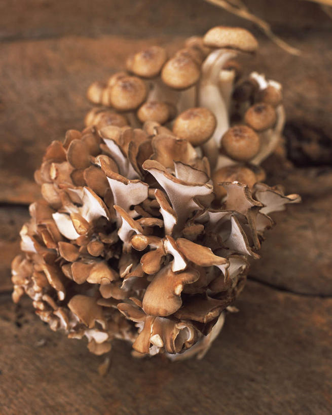 无人,餐厅,竖图,俯视,室内,特写,白天,餐桌,桌子,蔬菜,一堆,许多,堆叠,堆积,新鲜,菌菇,食品,棕色,菌类,食物,食用菌,摄影,有机食品,绿色食品,影棚,餐台,堆,姬菇,彩图,高角度拍摄,影棚拍摄,拍摄,餐馆,饭店,饭馆