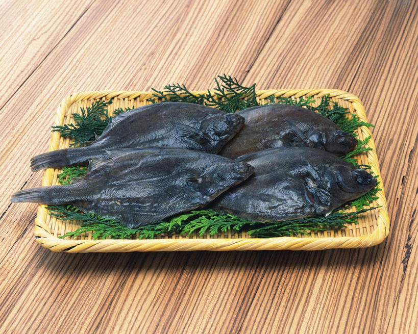 无人,横图,俯视,室内,特写,白天,比目鱼,叶子,一排,许多,黄色背景,整齐,鱼,篮子,食品,绿叶,海洋生物,食物,排列,一个,绿色,黑色,四条,嫩叶,摄影,影棚,单个,队列,水生动物,水生物,海底动物,叶,叶片,鲽鱼,彩图,高角度拍摄,全身,影棚拍摄,拍摄