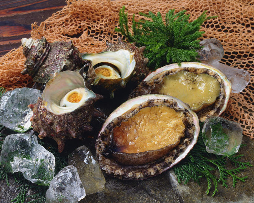 无人,横图,俯视,室内,特写,白天,桌面,贝壳,许多,食品,蛤蜊,海洋生物,食物,蛤,鲍鱼,渔网,海草,渔具,石决明,抓捕,水生动物,捕捞,鱼网,水生物,螺蛳,海底动物,田螺,拉网,捕捞工具,蛤仔,蜗篱,师螺,蜗蠃,方田螺,鳆鱼,镜面鱼,明目鱼,贝类外壳,海螺壳,软体动物外壳,彩图,高角度拍摄