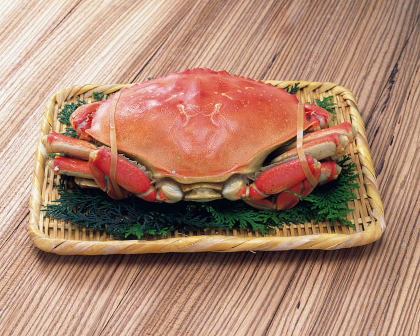 蟹,腿部,腿,无人,横图,俯视,室内,特写,白天,桌面,一排,许多,阴影,黄色背景,整齐,光线,螃蟹,篮子,影子,海洋生物,排列,一个,一只,黄色,阳光,摄影,影棚,单个,海草,队列,水生动物,水生物,海底动物,彩图,高角度拍摄,全身,影棚拍摄,拍摄