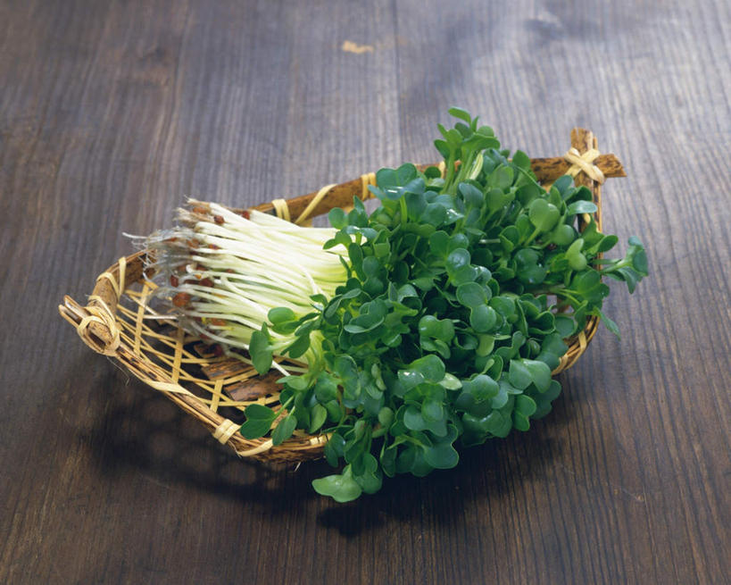 无人,横图,俯视,室内,特写,白天,桌面,芹菜,蔬菜,叶子,许多,阴影,竹制,新鲜,反射,篮子,影子,食品,褐色,绿叶,竹扁,食物,一个,绿色,竹筐,嫩叶,有机食品,绿色食品,荷兰芹,欧芹,香芹,竹编,单个,竹制品,法香,巴西利,洋香菜,洋芫荽,法国香菜,旱芹菜,番荽,叶,叶片,彩图,高角度拍摄