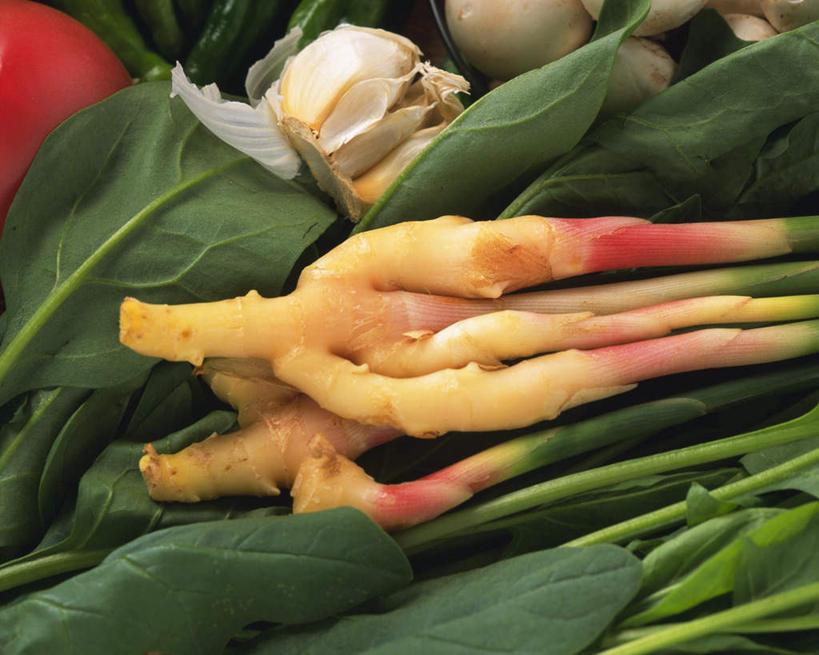 无人,横图,俯视,室内,特写,白天,白色背景,菠菜,姜,蔬菜,西红柿,一堆,堆叠,堆积,新鲜,食品,食物,一个,红色,紫姜,摄影,有机食品,绿色食品,影棚,单个,堆,止咳,止痛,解毒,发汗,温肺,温胃,行气,止呕,百辣云,子姜,鹦鹉菜,鼠根菜,生姜,老姜,角菜,红嘴绿鹦哥,番茄,赤根菜,菠薐菜,波斯草,彩图,高角度拍摄,影棚拍摄,拍摄,散寒