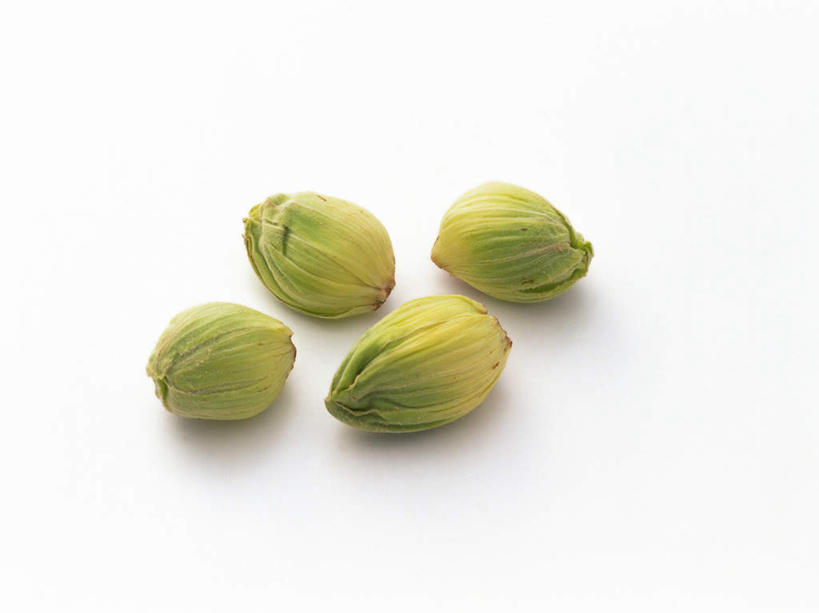 无人,横图,俯视,室内,特写,白天,白色背景,蔬菜,叶子,阴影,新鲜,反射,纹路,影子,食品,绿叶,食物,绿色,四个,嫩叶,摄影,有机食品,绿色食品,影棚,蜂斗菜,叶,叶片,叶脉,彩图,高角度拍摄,影棚拍摄,拍摄