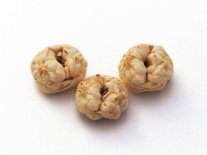 无人,横图,俯视,室内,特写,白天,白色背景,植物,一排,阴影,整齐,反射,影子,根,草药,药草,中药,排列,三个,白色,摄影,影棚,队列,药材,中草药,中药材,本草,百合,彩图,高角度拍摄,影棚拍摄,拍摄