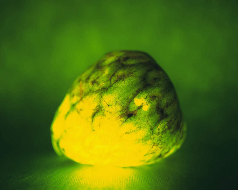 无人,横图,室内,特写,白天,正面,水果,绿色背景,阴影,朦胧,模糊,新鲜,发光,反射,光线,影子,生食,食品,果实,食物,一个,绿色,黑色,闪耀,番荔枝,有机食品,绿色食品,单个,明亮,释迦,佛头果,彩图