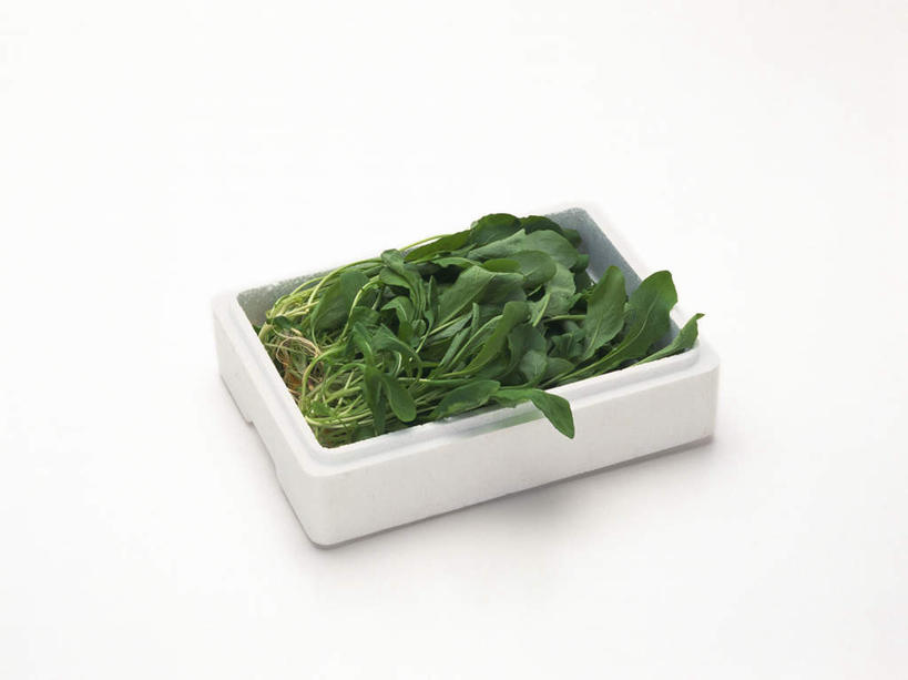 无人,横图,俯视,室内,特写,白天,白色背景,植物,蔬菜,叶子,许多,新鲜,纸盒,食品,绿叶,盒子,食物,一个,绿色,包装盒,嫩叶,摄影,有机食品,绿色食品,影棚,生长,单个,成长,芝麻菜,德国芥菜,火箭生莱,芸芥,芝麻叶,紫花南芥,叶,叶片,彩图,高角度拍摄,影棚拍摄,拍摄