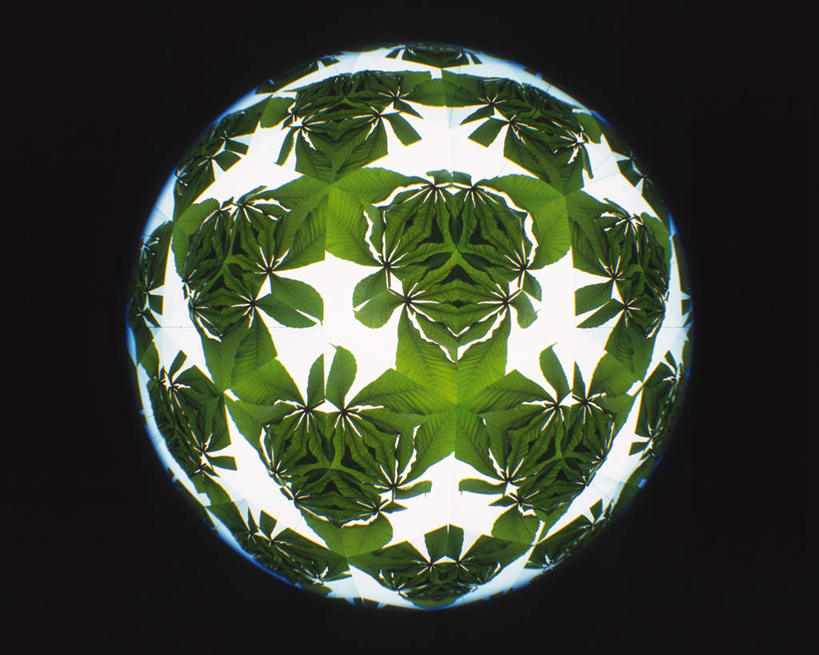 无人,横图,室内,特写,白天,正面,植物,万花筒,叶子,一排,许多,黑色背景,花纹,条纹,整齐,结构,圆形,三角形,图案,绿叶,排列,一个,绿色,白色,框架,嫩叶,摄影,影棚,生长,单个,成长,轮廓,耀眼,明亮,队列,叶,叶片,彩图,影棚拍摄,拍摄