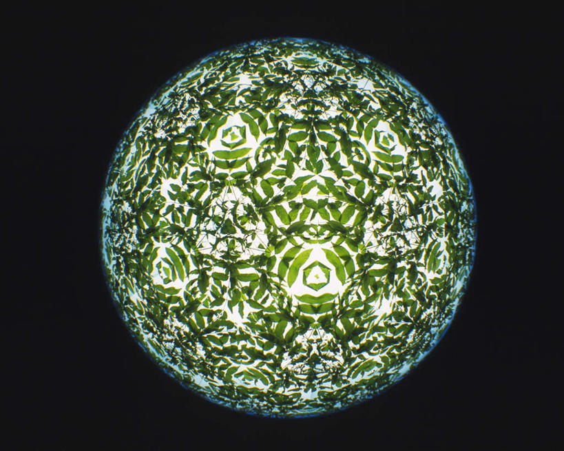 无人,横图,室内,特写,白天,正面,游戏,静物,玩具,万花筒,叶子,黑色背景,花纹,艺术,盛开,反射,图案,光,绿叶,玩,花蕾,娱乐,花,花瓣,花朵,鲜花,一个,绿色,花苞,花蕊,休闲,嫩叶,益智,摄影,影棚,单个,活动,三棱镜,发泄,消遣,智力,光学,宣泄,叶,叶片,玩耍,嬉戏,彩图,影棚拍摄,拍摄