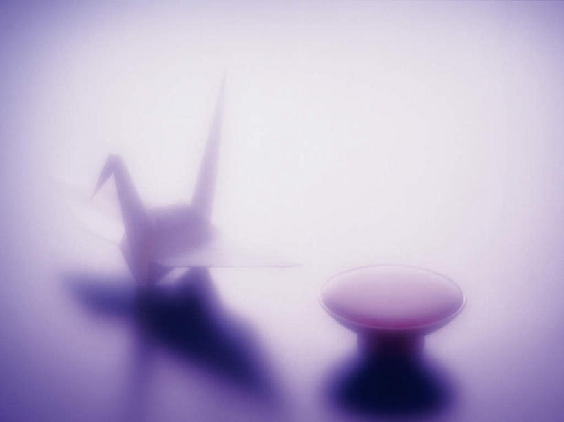 无人,横图,俯视,室内,特写,白天,桌面,桌子,静物,紫色背景,朦胧,模糊,艺术,折纸,纸艺,手工艺品,纸张,千纸鹤,文化,一个,纸鹤,工艺品,摄影,影棚,单个,高雅,工艺折纸,自信心,品位,彩图,高角度拍摄,影棚拍摄,拍摄