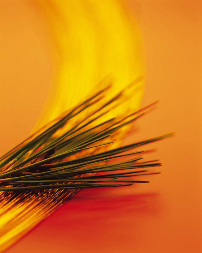 无人,竖图,俯视,室内,特写,白天,桌面,桌子,静物,日本,亚洲,黄色背景,朦胧,模糊,捆,绳子,摄影,影棚,捆绑,绳索,东亚,日本国,彩图,高角度拍摄,影棚拍摄,拍摄