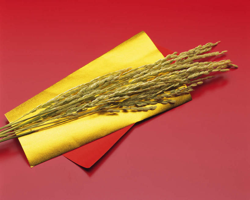 无人,横图,俯视,室内,特写,白天,农作物,小麦,桌面,桌子,许多,红色背景,谷物,纸张,稻谷,稻子,摄影,麦子,影棚,彩图,高角度拍摄,影棚拍摄,拍摄