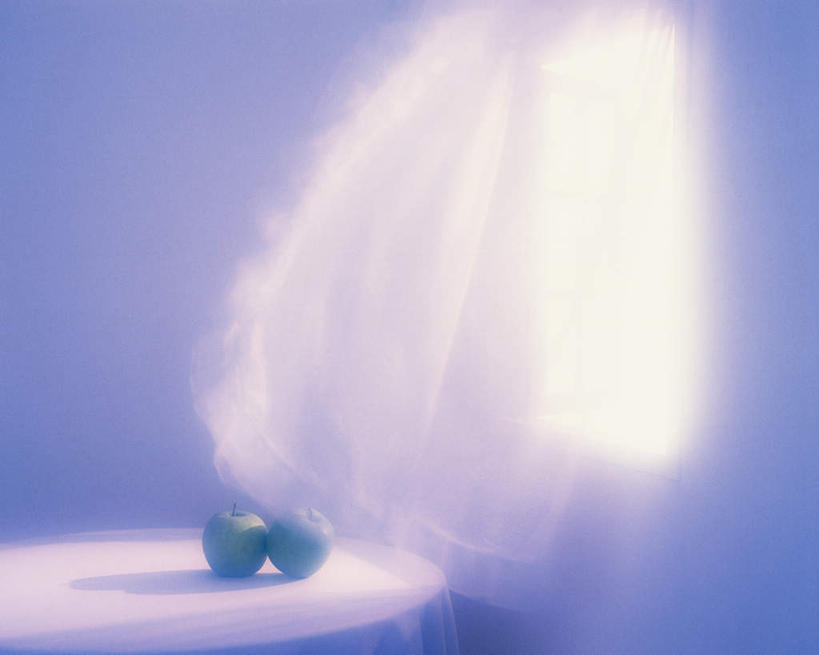 无人,横图,俯视,室内,白天,餐桌,窗户,桌子,苹果,水果,阴影,朦胧,模糊,新鲜,光线,影子,墙,生食,食品,青色,果实,玻璃窗,墙壁,墙面,食物,两个,有机食品,绿色食品,餐台,窗纱,彩图,高角度拍摄