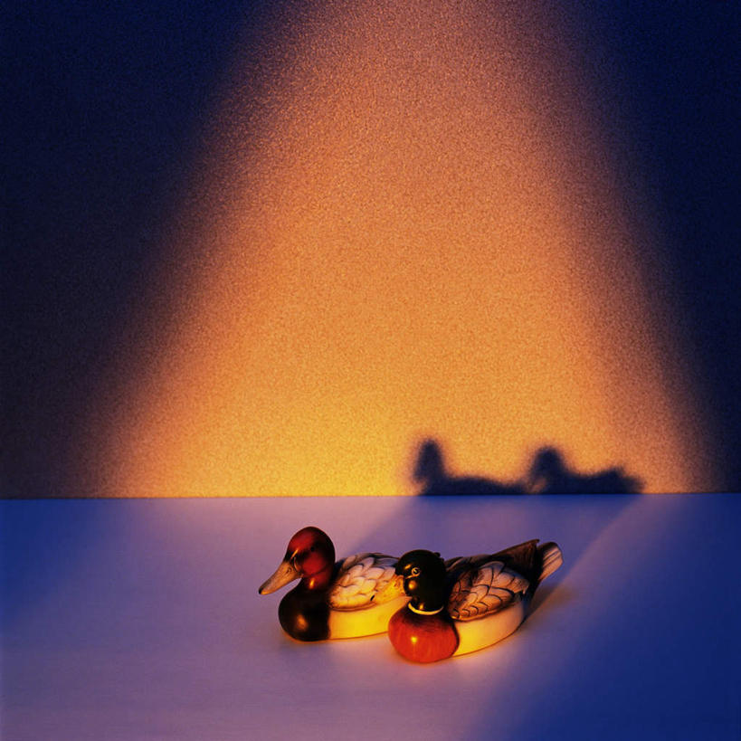 无人,夫妻,方图,室内,白天,正面,爱情,游戏,桌面,桌子,鸟,鸳鸯,玩具,阴影,朦胧,模糊,光线,玩偶,影子,墙,浪漫,玩,娱乐,墙壁,墙面,阳光,休闲,恩爱,益智,恋人,活动,发泄,消遣,智力,坚定,永恒,宣泄,情意,情侣,玩耍,嬉戏,彩图,伴侣