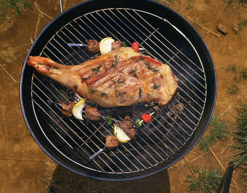 无人,横图,俯视,室外,特写,白天,聚会,烹饪,烧烤,草地,植物,三串,叉子,葱,调料,肉,日本料理,料理,食品,野餐,烤架,烤肉,调味品,调味料,烧烤架,羊肉,菜肴,美食,肉类,草,食物,绿色,日式料理,日式,铁架,佳肴,肉食,野炊,彩图,高角度拍摄